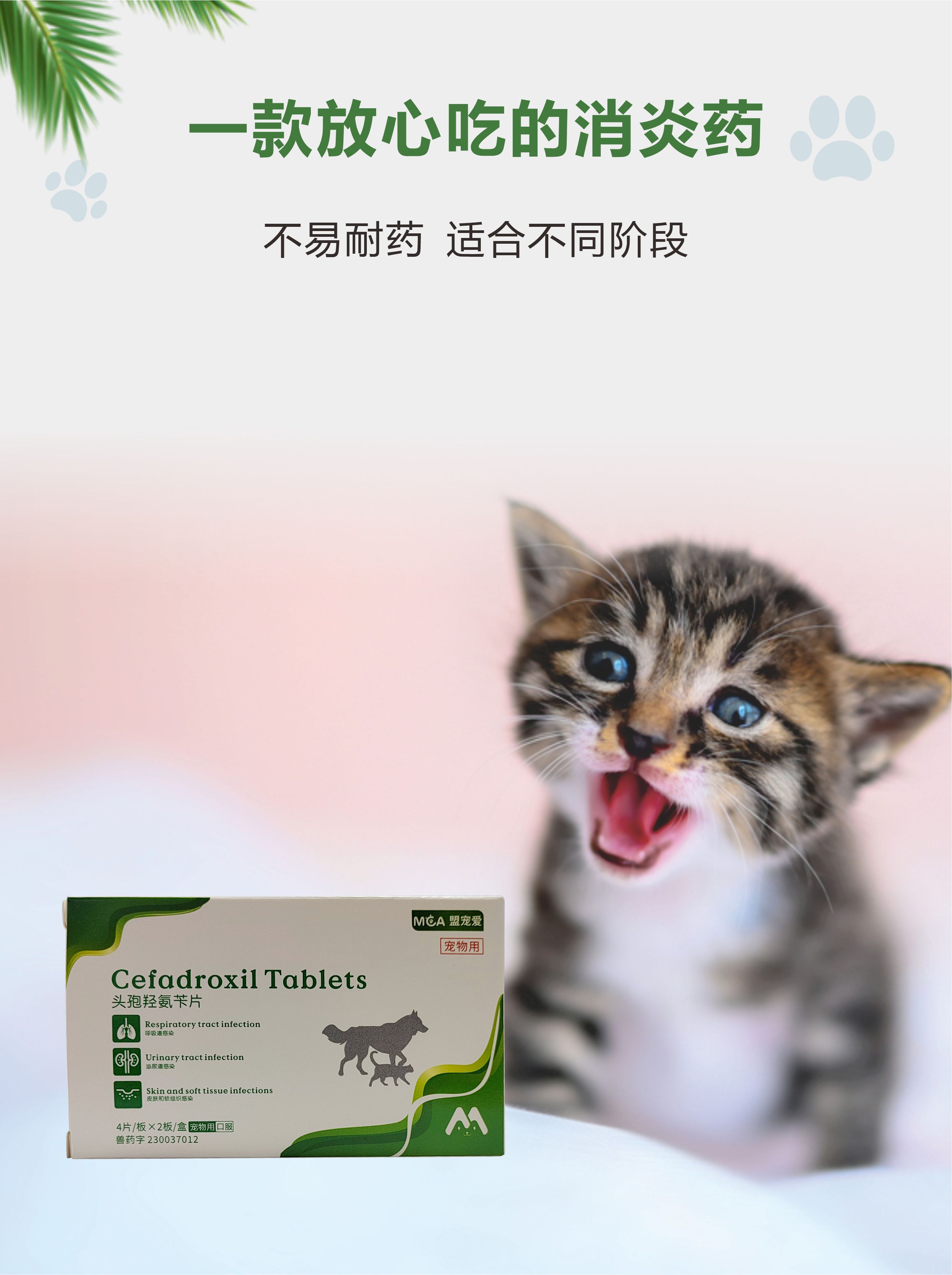 头孢羟氨苄片-4.jpg