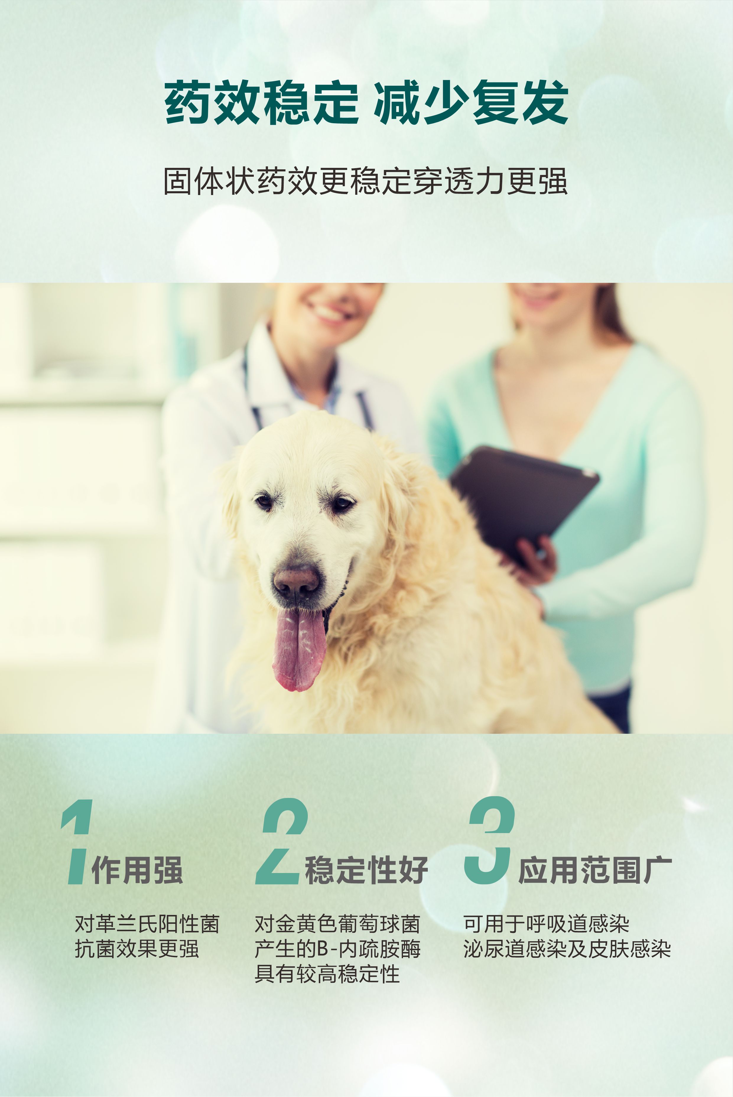 头孢羟氨苄片-7.jpg