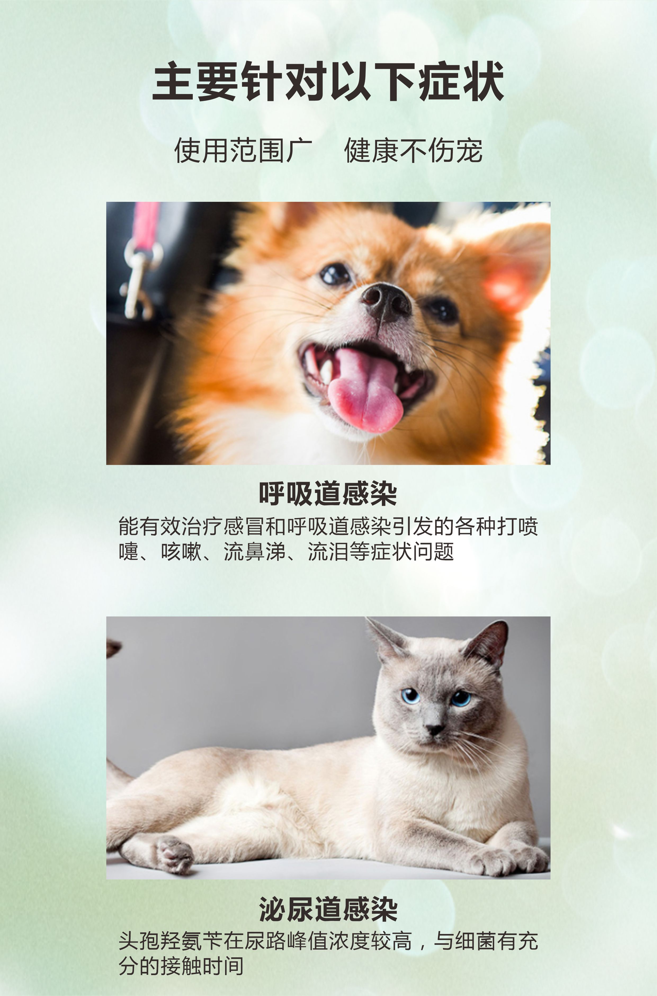 头孢羟氨苄片-9.jpg