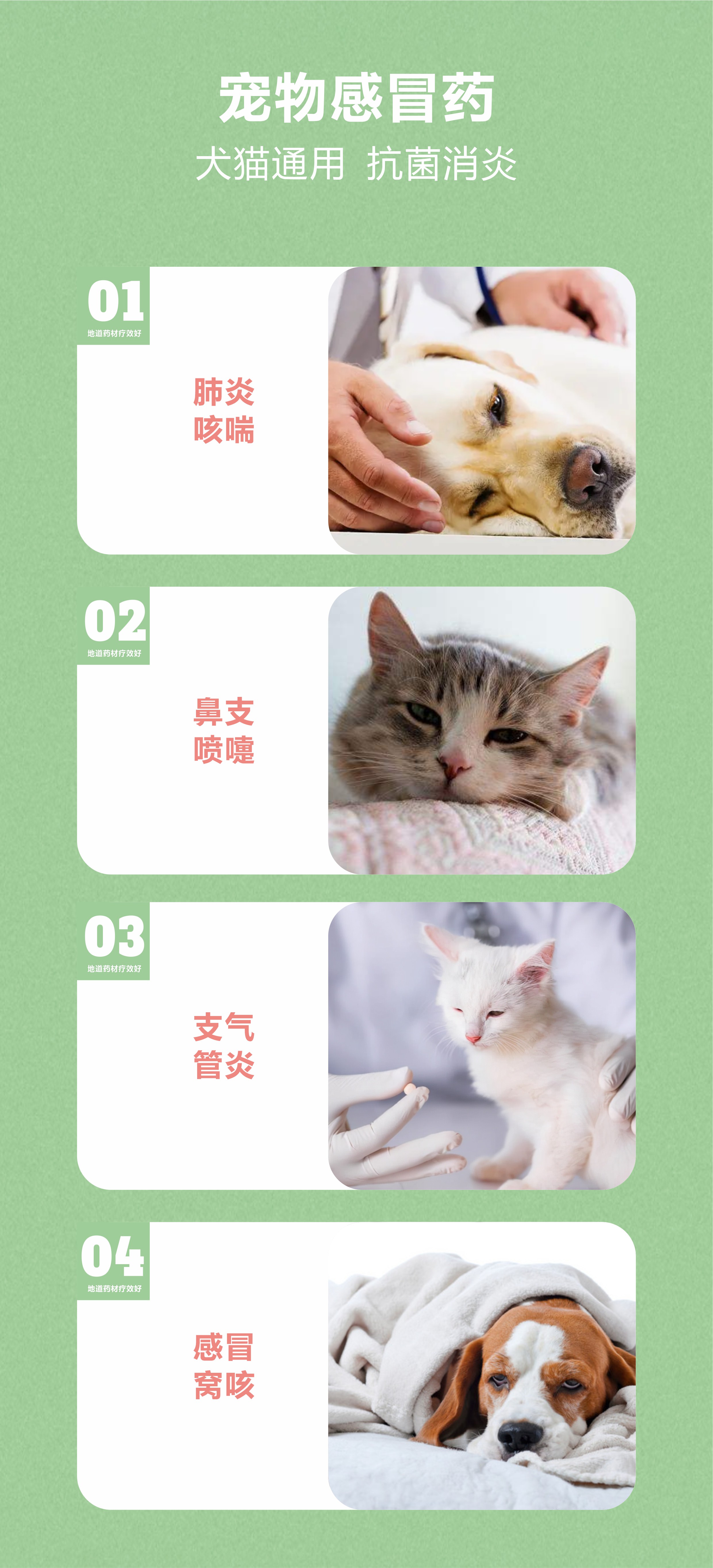 微信图片_20240306145922.jpg