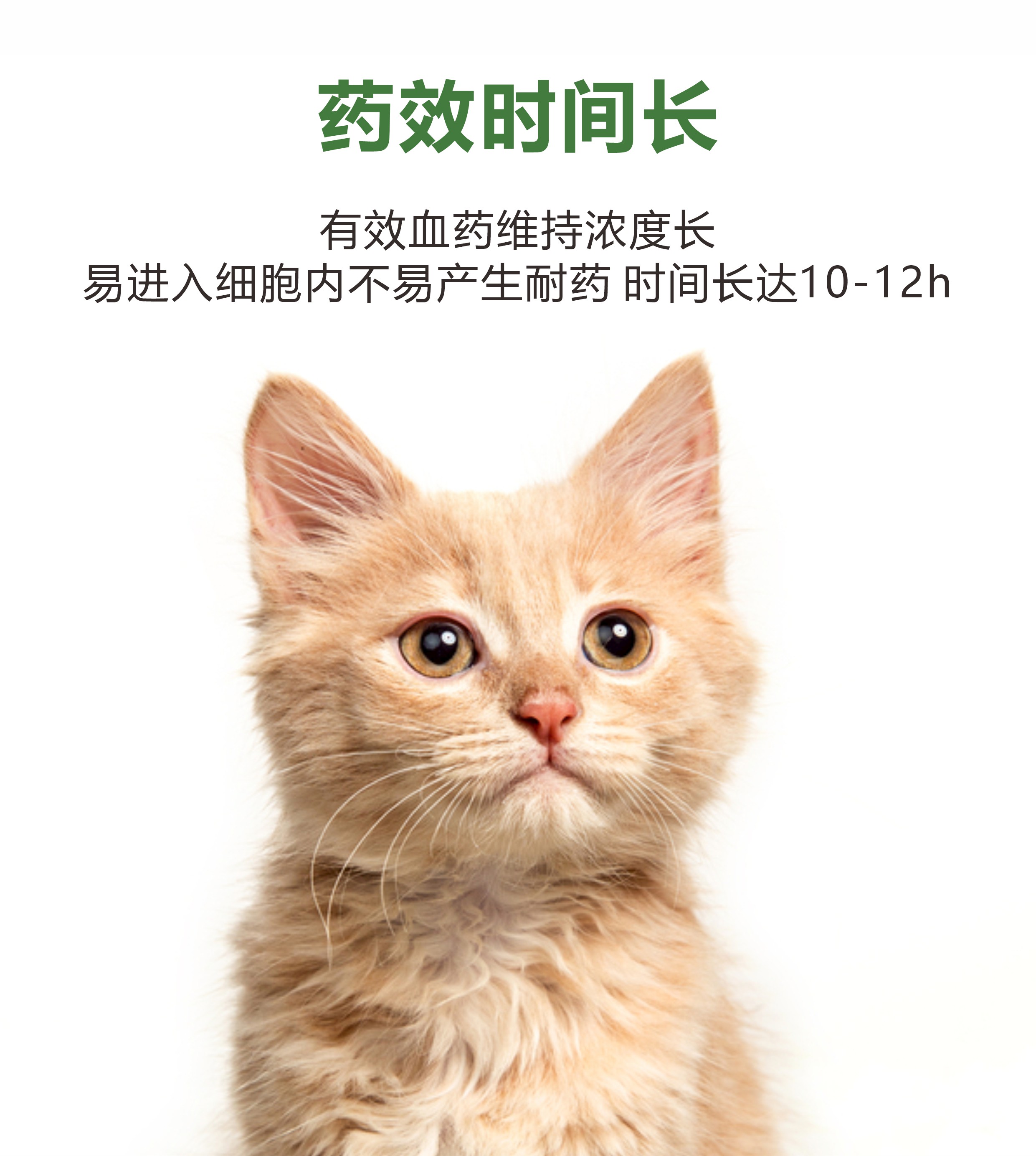 微信图片_20240306150020.jpg