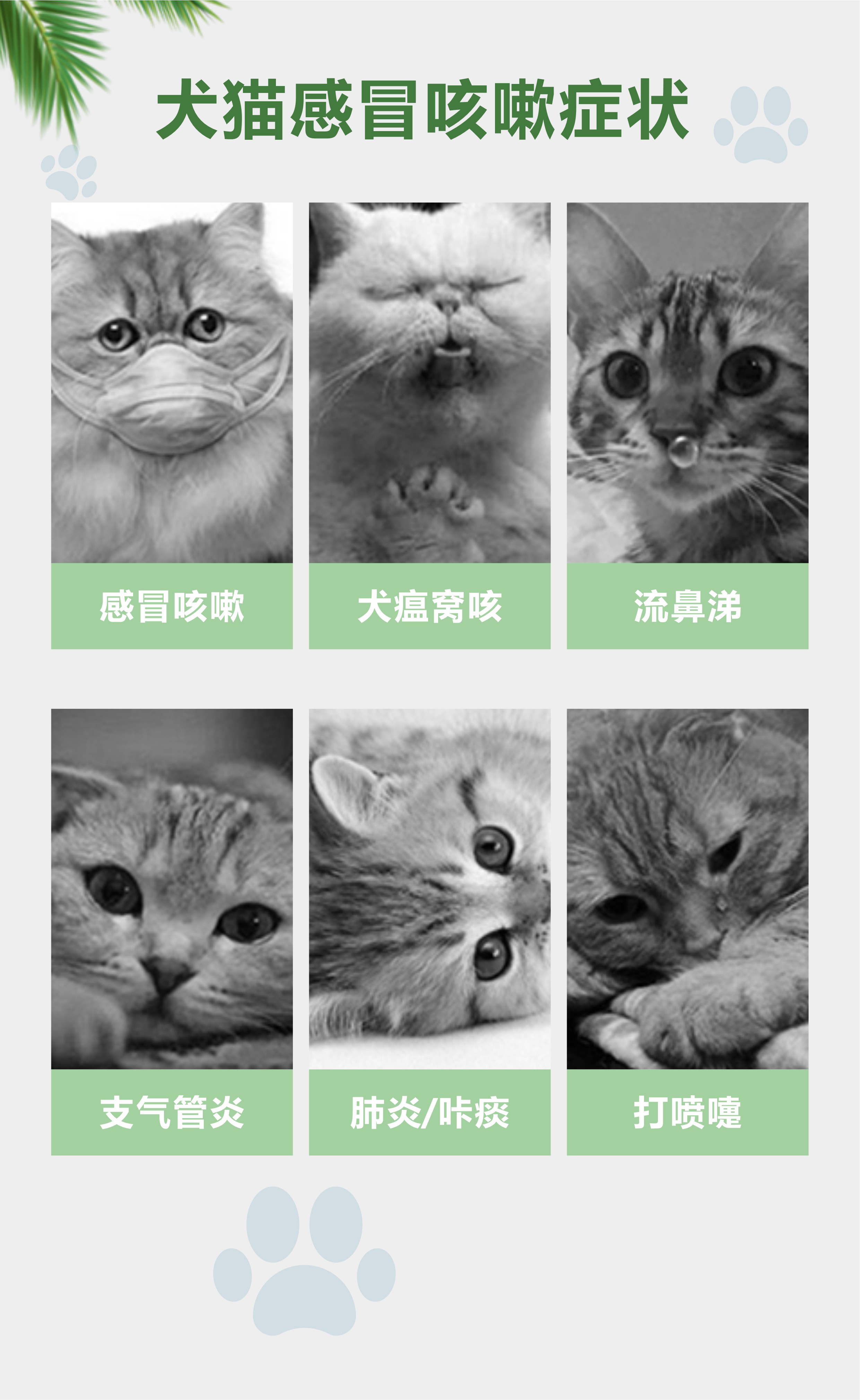 微信图片_20240306145927.jpg