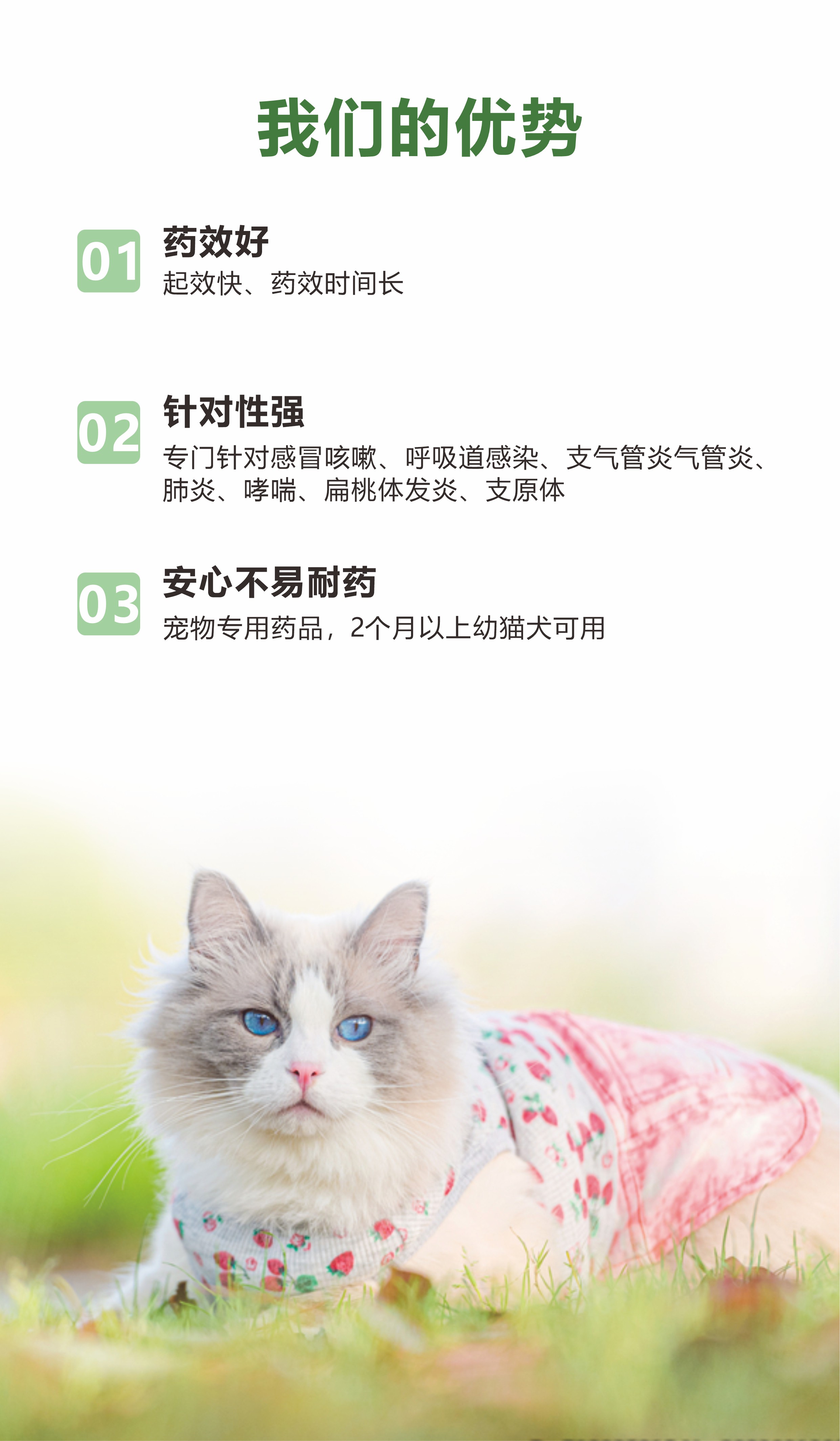 微信图片_20240306145932.jpg
