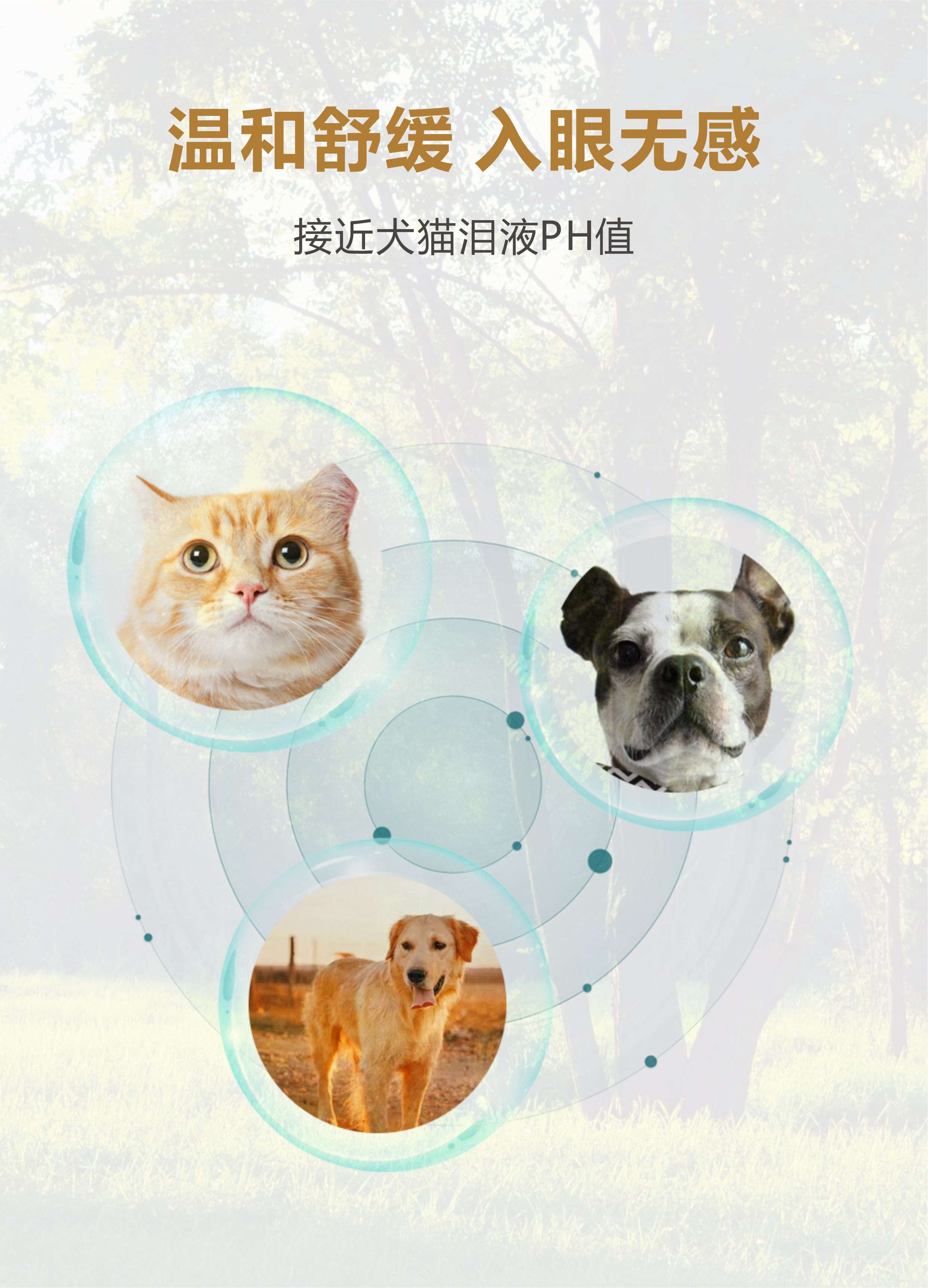 微信图片_20240307152842.jpg