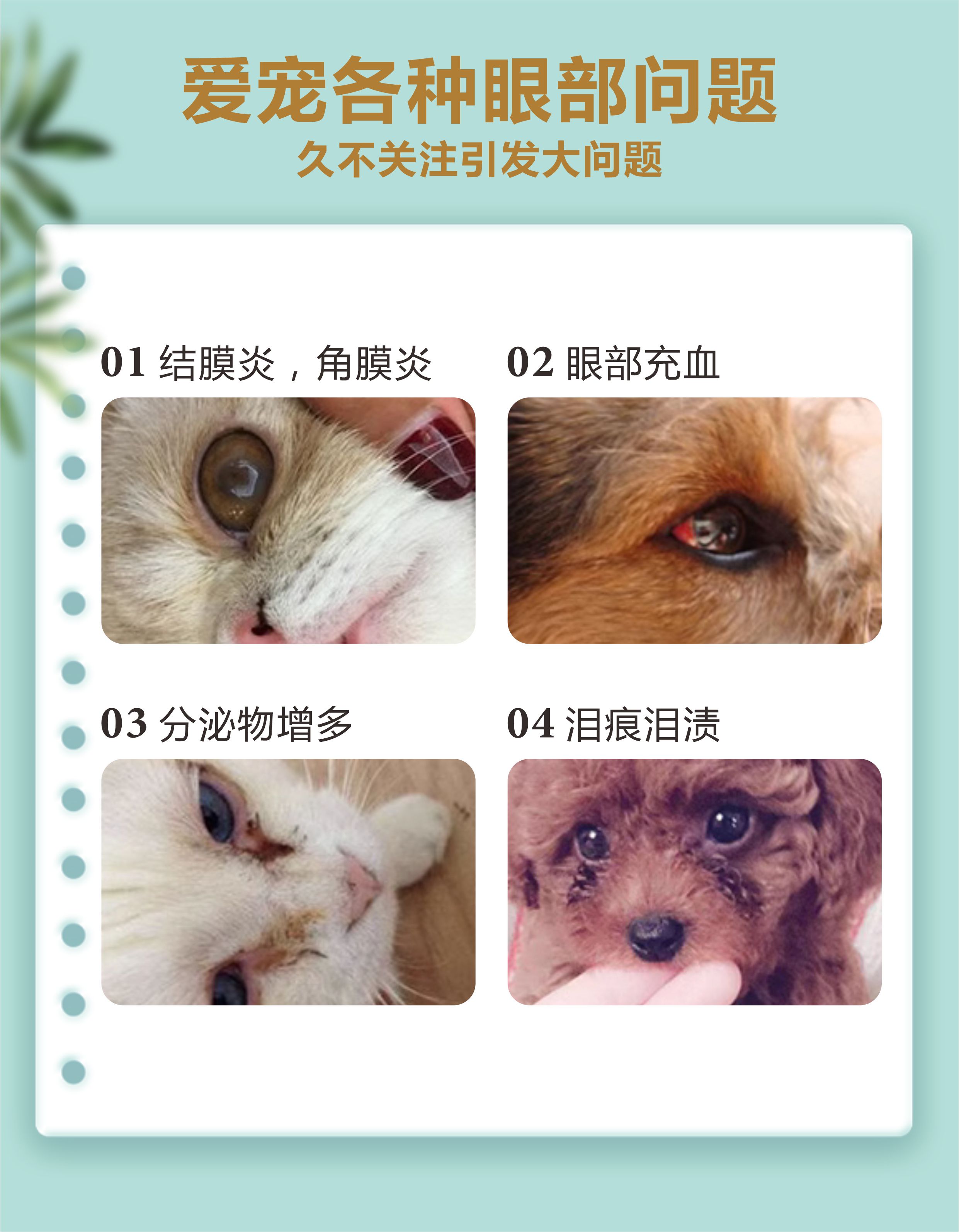 微信图片_20240307151019.jpg