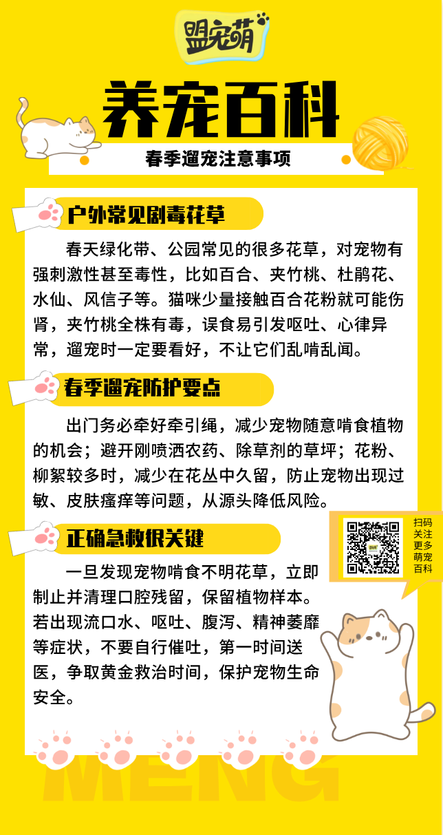 春季遛宠注意事项.png